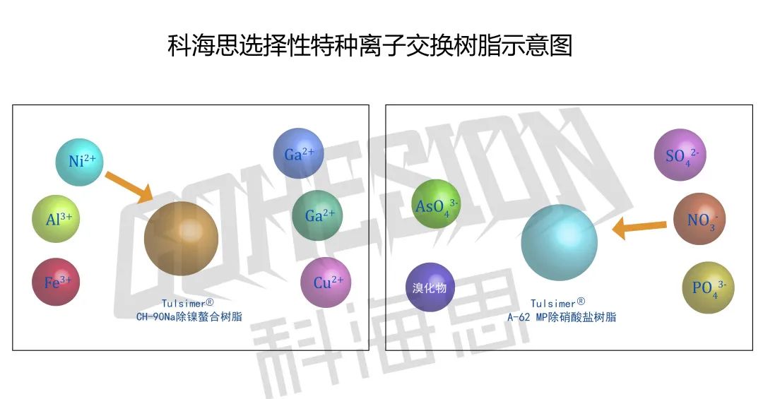 在實際水處理運行中，離子交換樹脂選擇性的影響因素有哪些